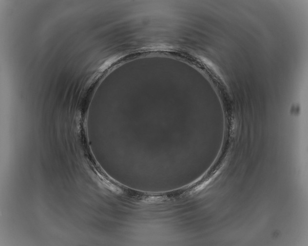 X0000090731161200707271357