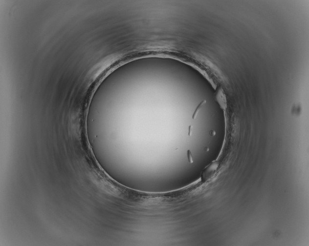 X0000090731162200707271357