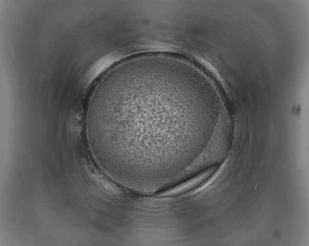 X0000090731163200707271357