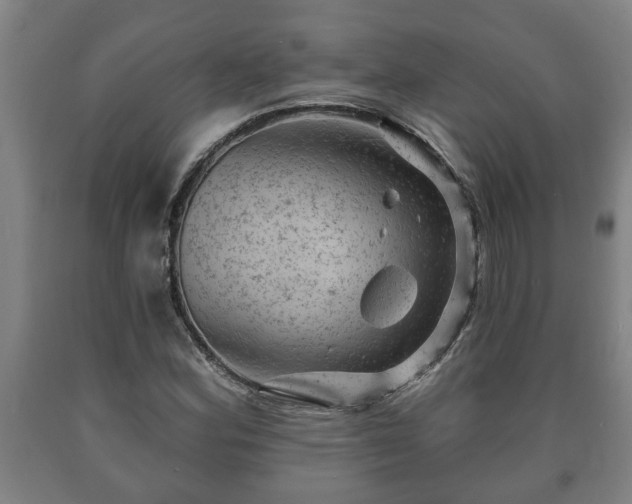 X0000090731164200707271357
