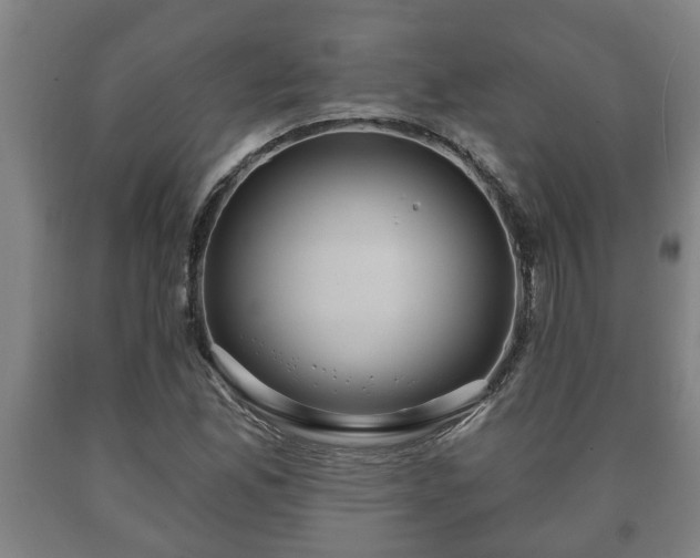 X0000090731165200707271357