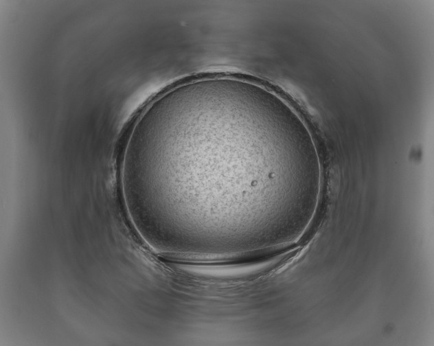 X0000090731167200707271357