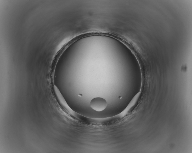 X0000090731168200707271357