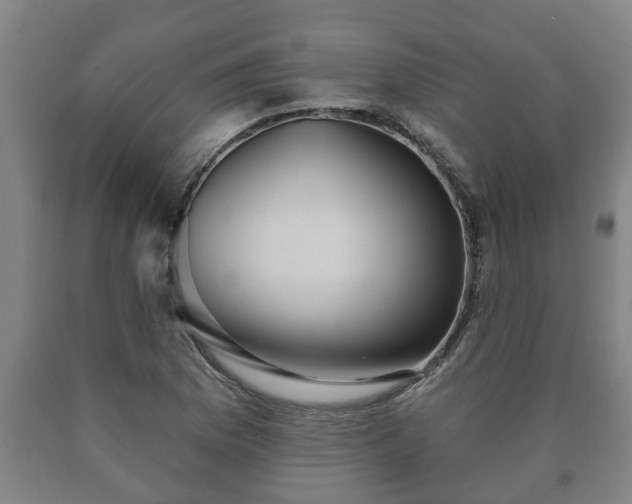 X0000090731169200707271357