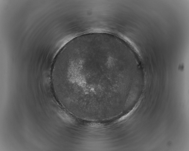 X0000090731170200707271357