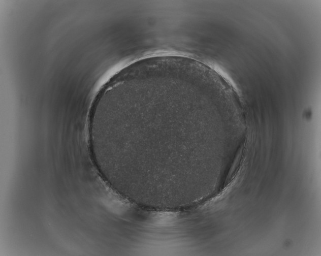 X0000090731173200707271357
