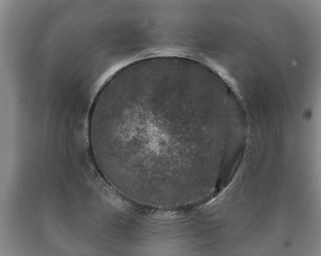X0000090731174200707271357