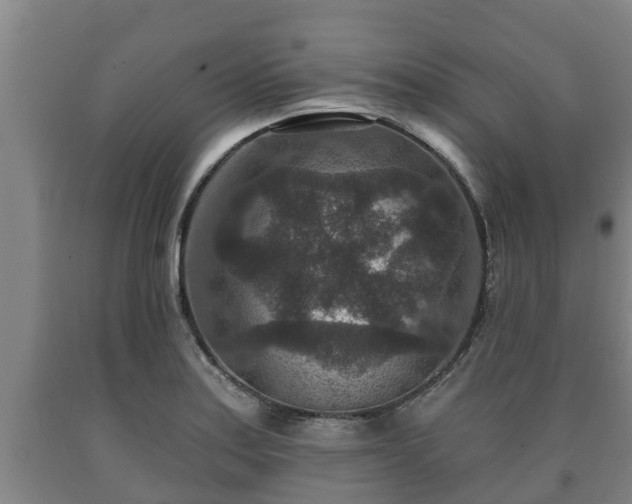 X0000090731179200707271357