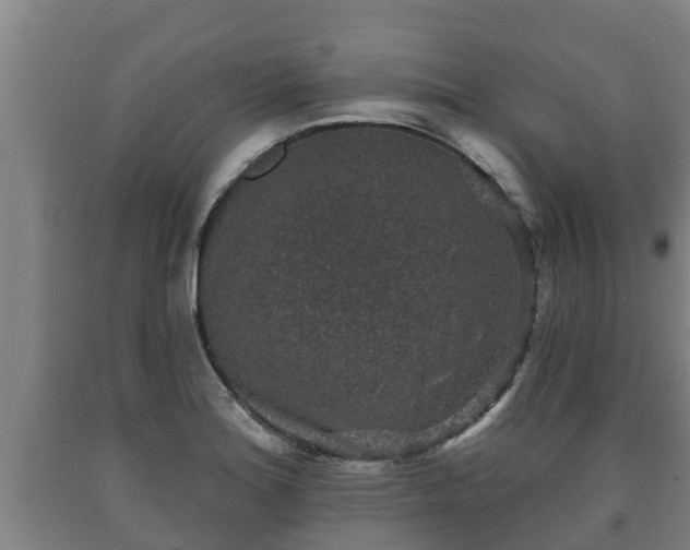X0000090731180200707271357