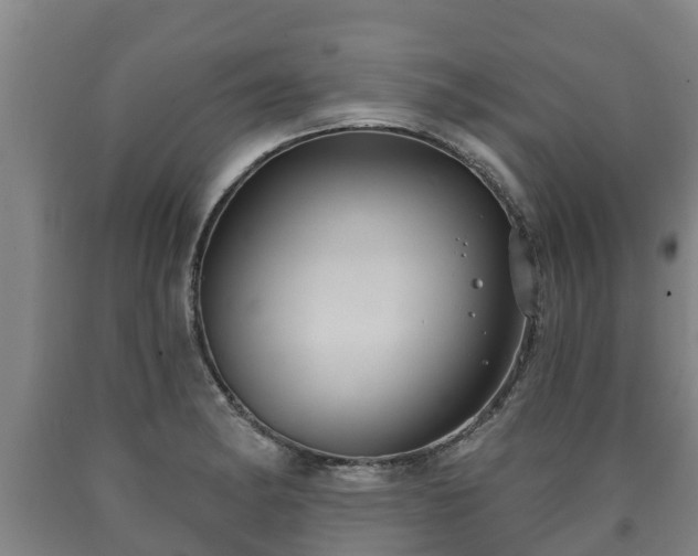 X0000090731182200707271357