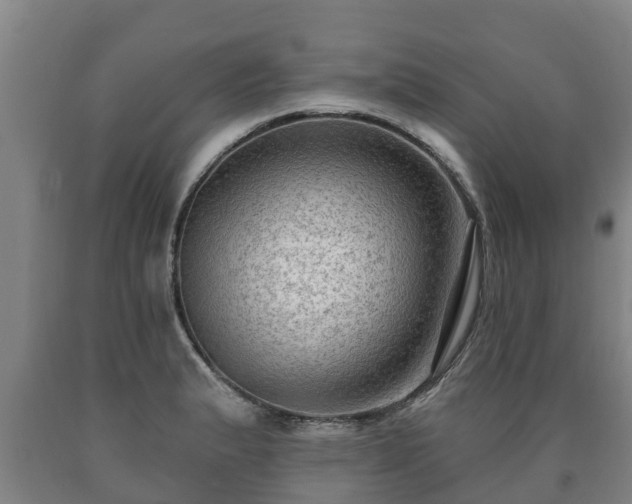 X0000090731183200707271357