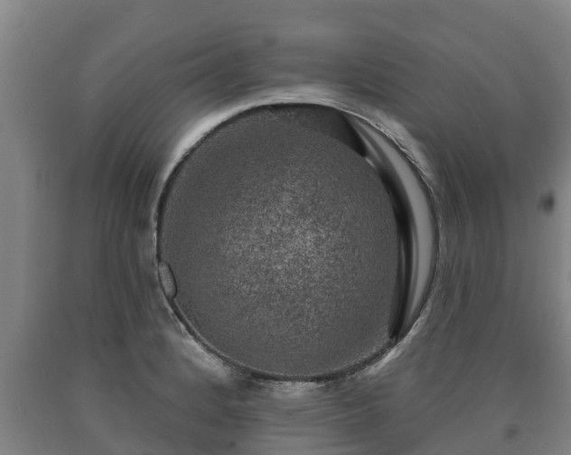 X0000090731184200707271357