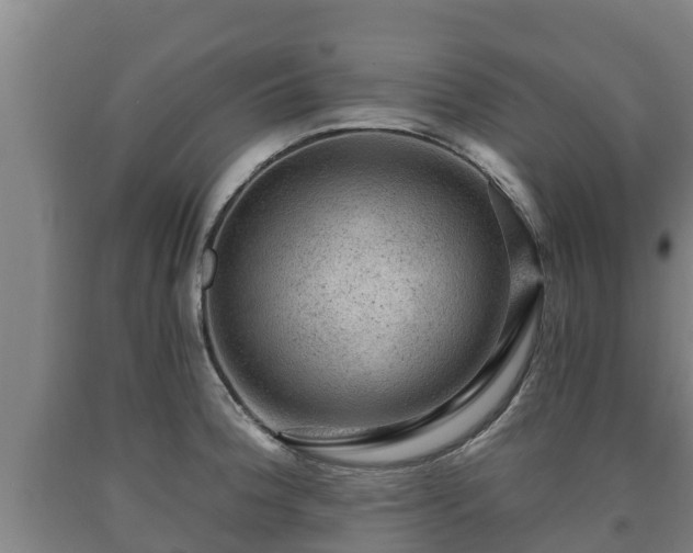 X0000090731188200707271357