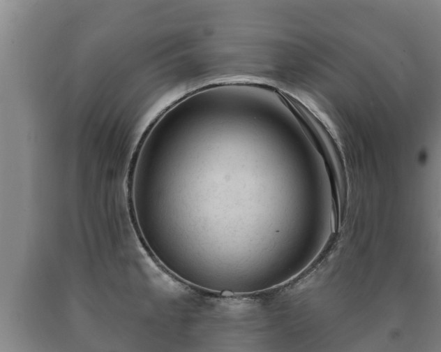 X0000090731189200707271356
