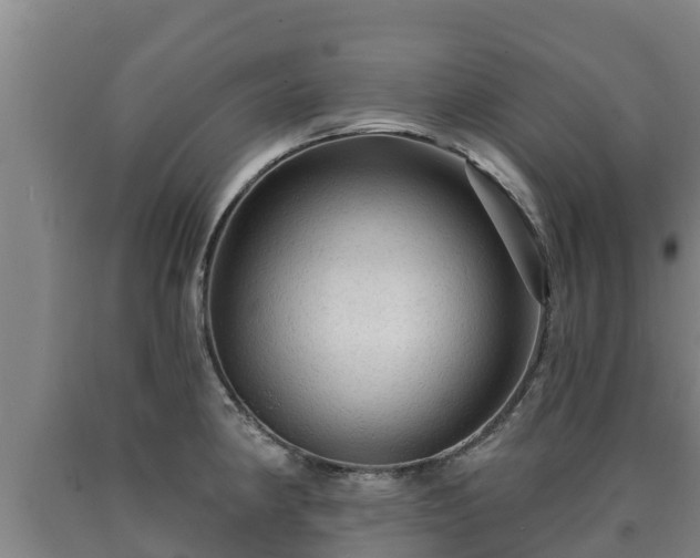 X0000090731190200707271356