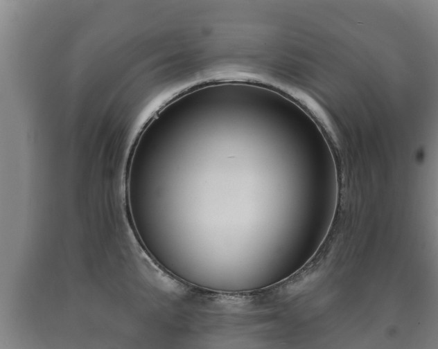 X0000090731191200707271356