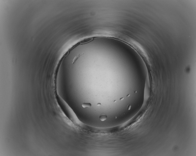 X0000090731192200707271356