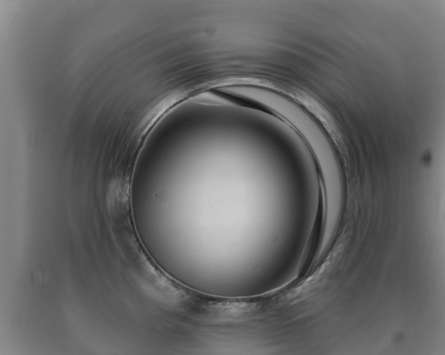 X0000090731193200707271356