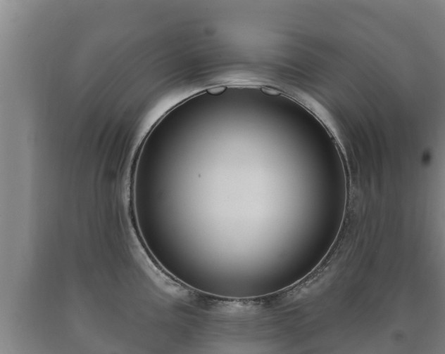X0000090731195200707271356
