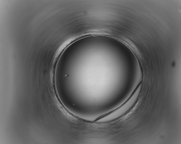 X0000090731196200707271356