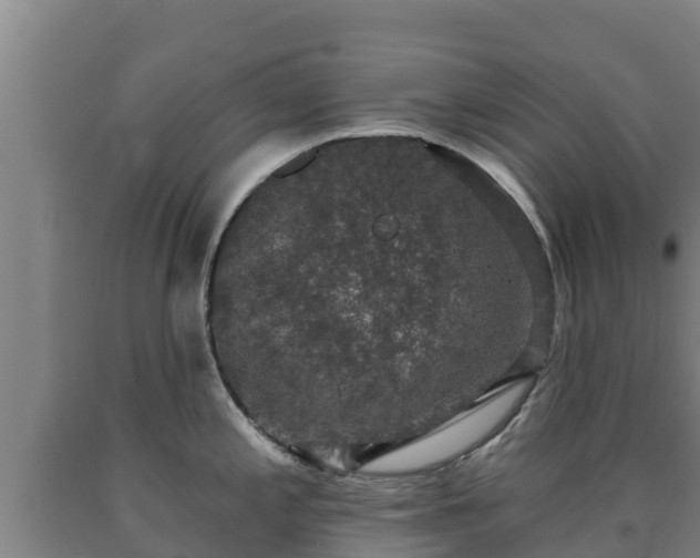 X0000090731197200707271356