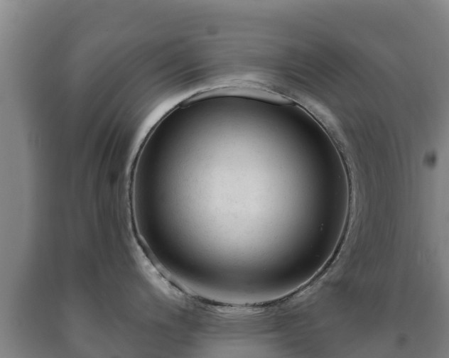 X0000090731200200707271356