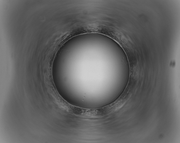 X0000090731201200707271356