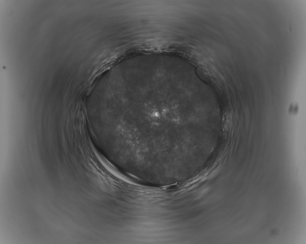 X0000090731202200707271356