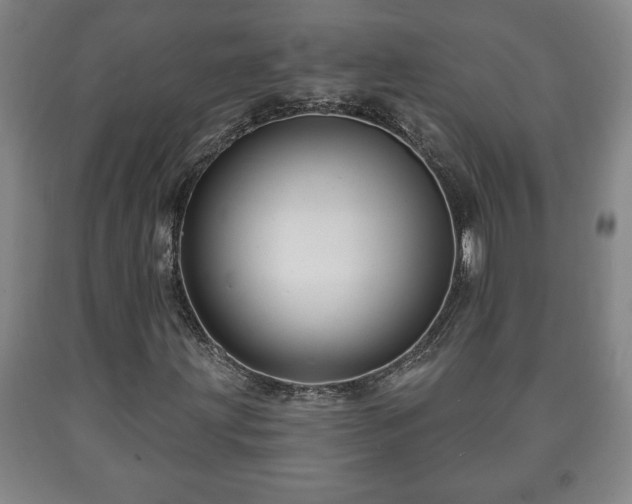 X0000090731203200707271356