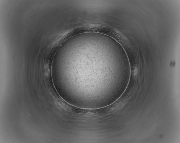 X0000090731204200707271356