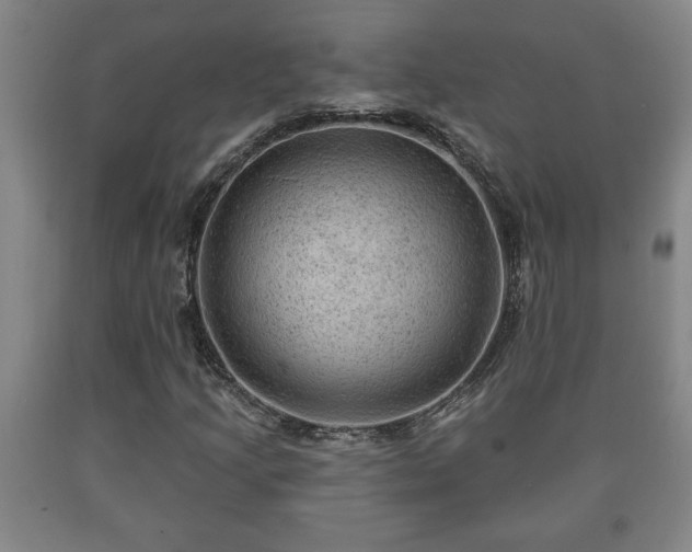 X0000090731205200707271356