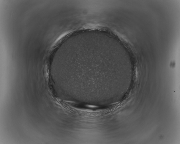 X0000090731206200707271356