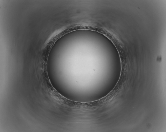 X0000090731207200707271356