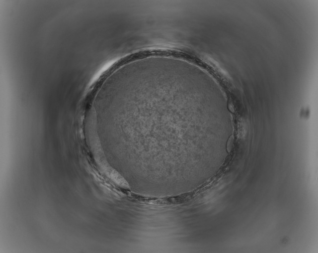 X0000090731208200707271356