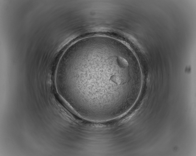 X0000090731209200707271356