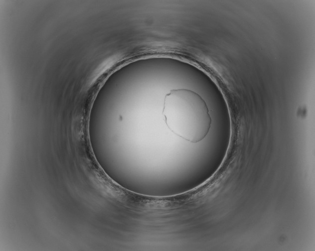 X0000090731211200707271356