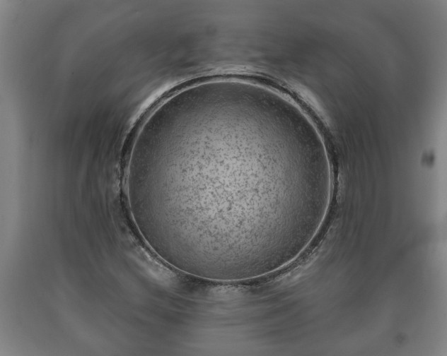 X0000090731212200707271356