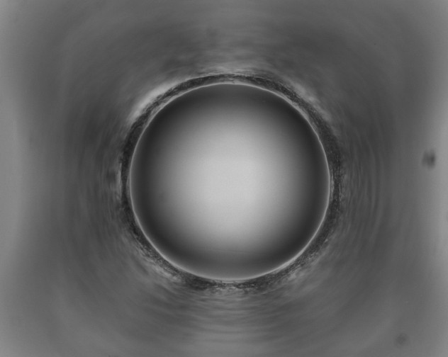 X0000090731214200707271356