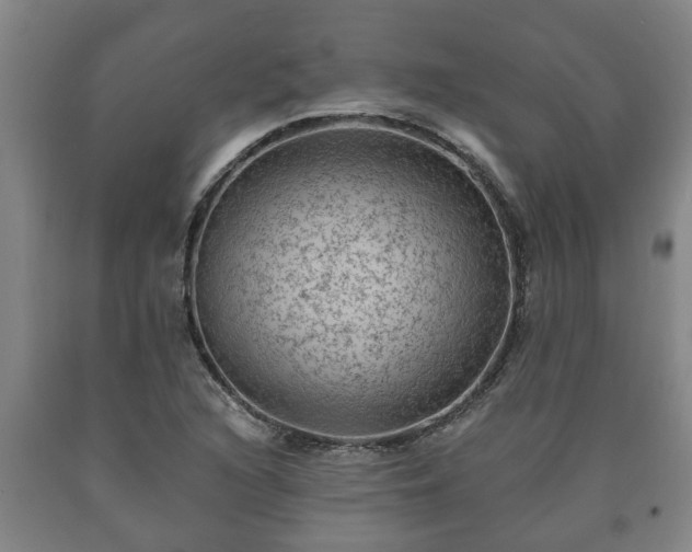 X0000090731216200707271356