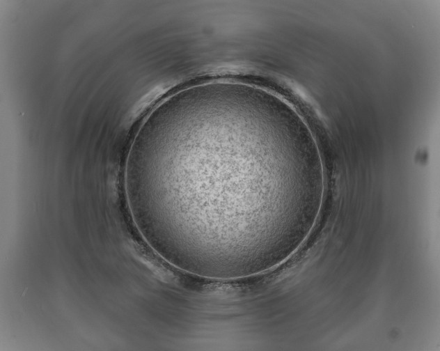 X0000090731217200707271356