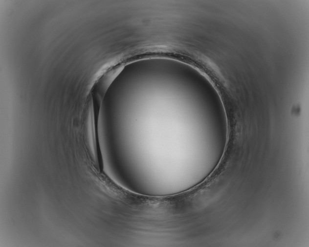 X0000090731218200707271356