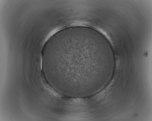 X0000090731219200707271356