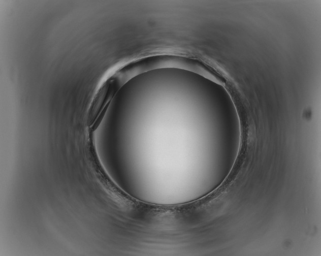 X0000090731222200707271356
