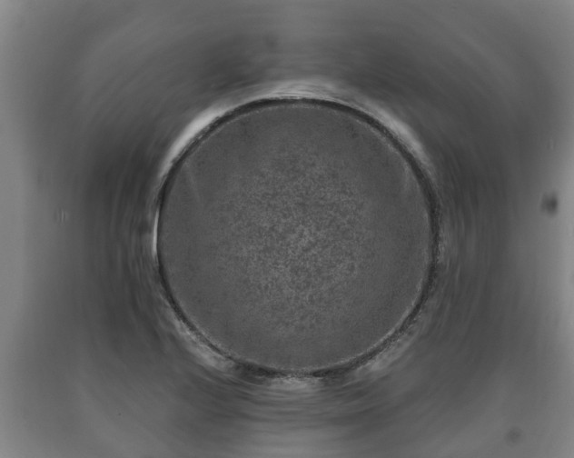 X0000090731224200707271356