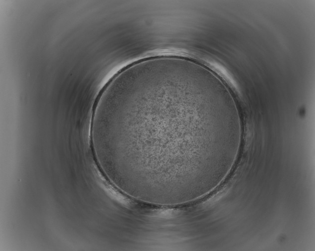 X0000090731228200707271356