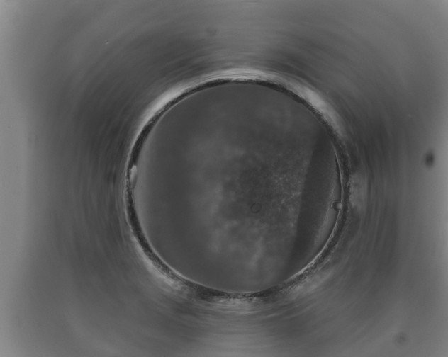 X0000090731229200707271356