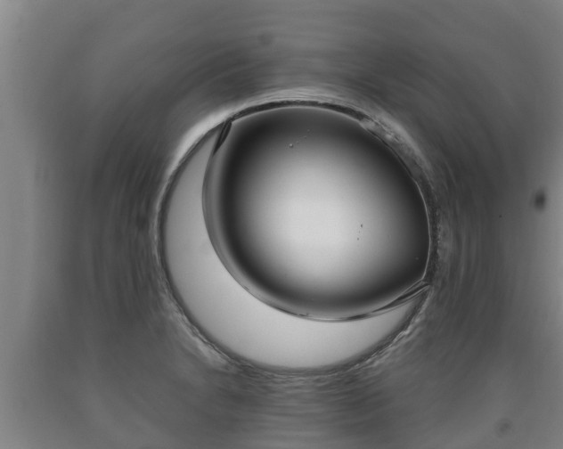 X0000090731230200707271356