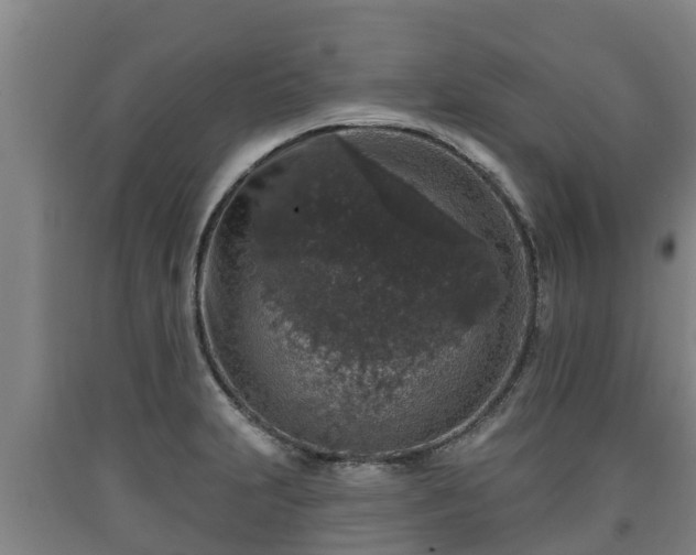 X0000090731231200707271356