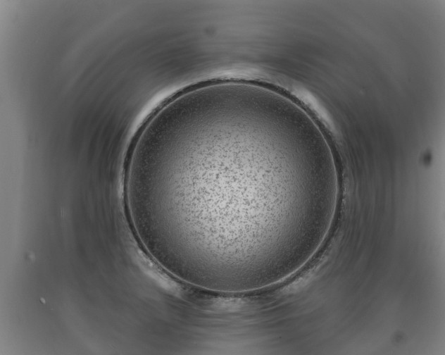 X0000090731232200707271356