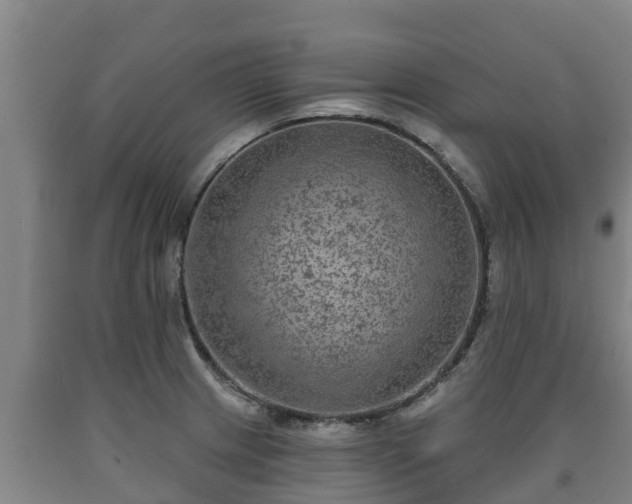 X0000090731233200707271356